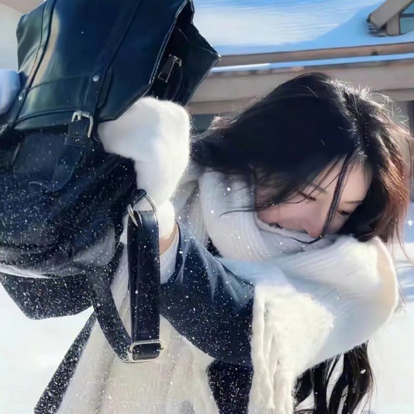 侦探韩森海报